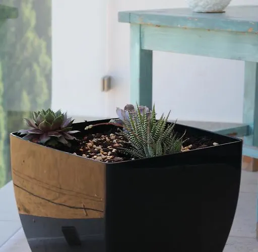 Lejlighed Quinta Nova Alvor